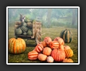 Pumpkin Day