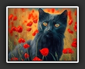 Black Cat between Poppies