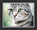 Silver Tabby Cat
