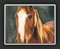 Horse Portrait